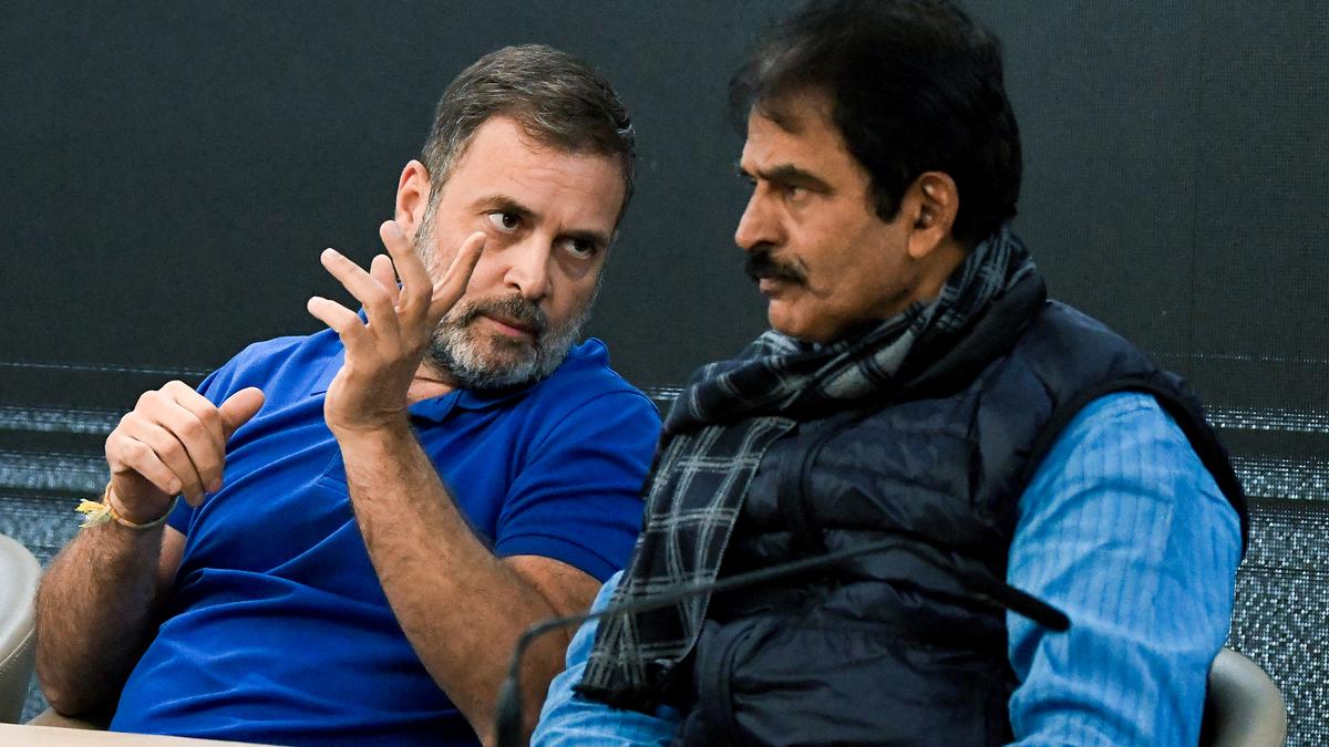 రాహుల్ గాంధీ : బీజేపీ ఎంపీలు నన్ను, ఖర్గేను తోసేశారు